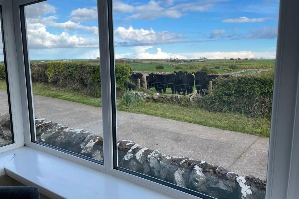 Galloway Farmstay Broughton ニュートン・スチュワート エクステリア 写真